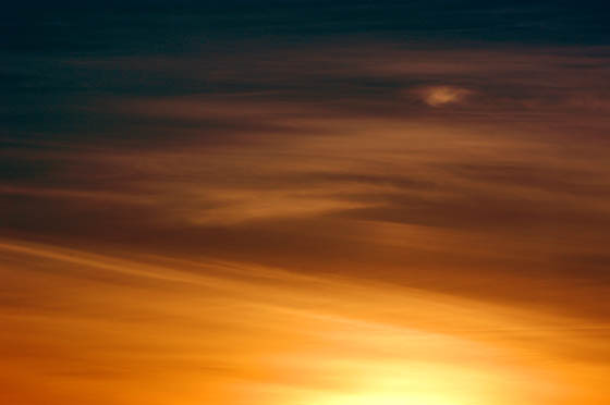 dsc_4958.jpg